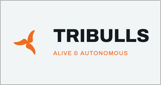 Tribulls AI brand lockup